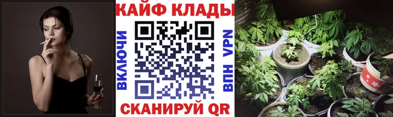Где найти наркотики Новосиль Alpha PVP  Марихуана  Меф  ГАШ  АМФЕТАМИН  Псилоцибиновые грибы  COCAIN 