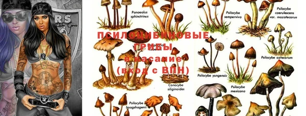 скорость Новодвинск